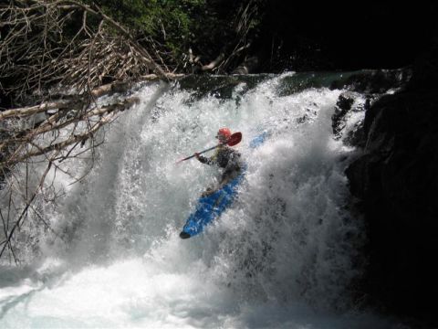 cristian tree drop