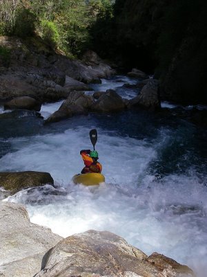 florinrapid