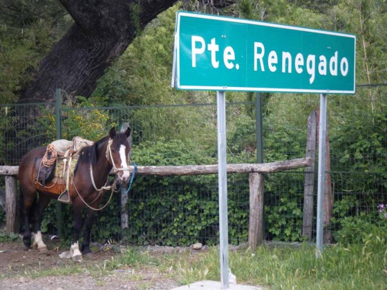 renegadotakeout